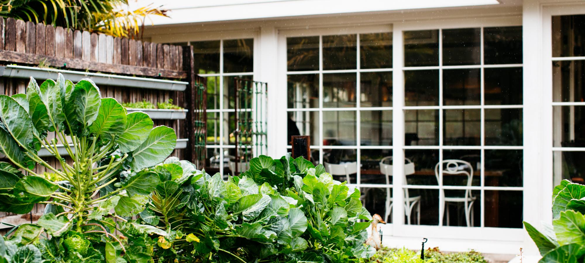 Chiswick Woollahra